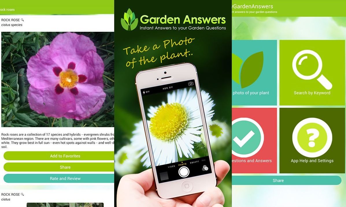 los-10-mejores-programas-para-identificar-plantas-el-mejor-software